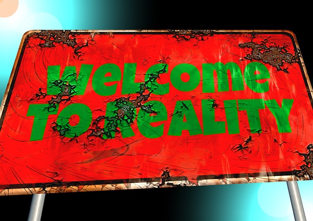 Welcome to reality sign