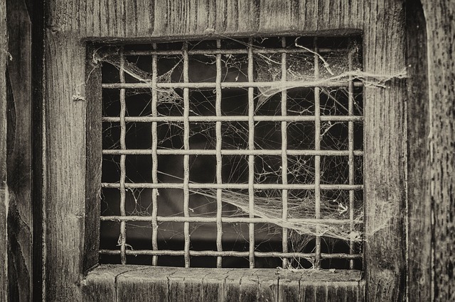 Barred Window pixabay