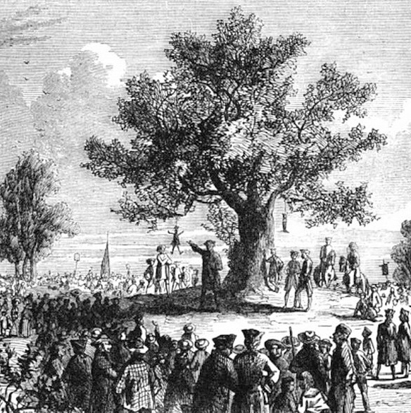 Liberty Tree revolution 2019 wikimedia Liberty_Tree cropped