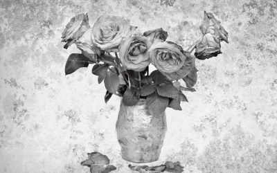 Aging: An Apprenticeship…book review