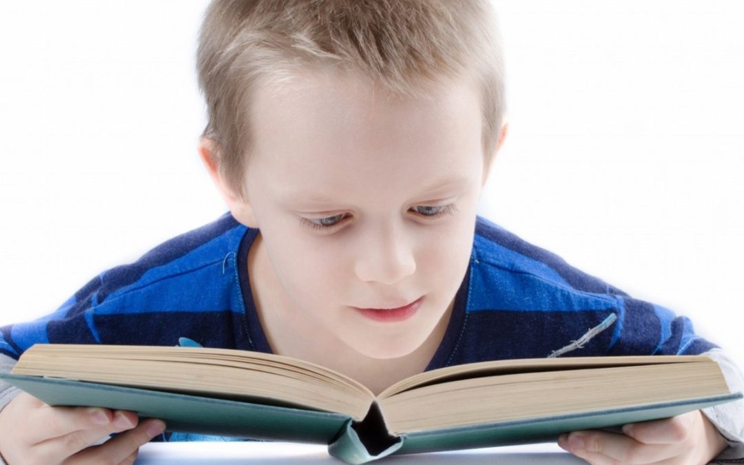 Boy reading book Public Domain cropped