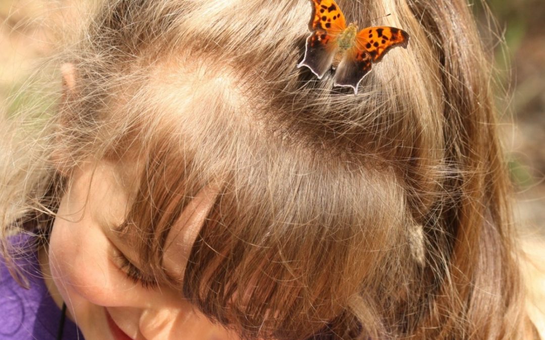 Young girl public domain 2018 butterfly-on-childs-head cropped