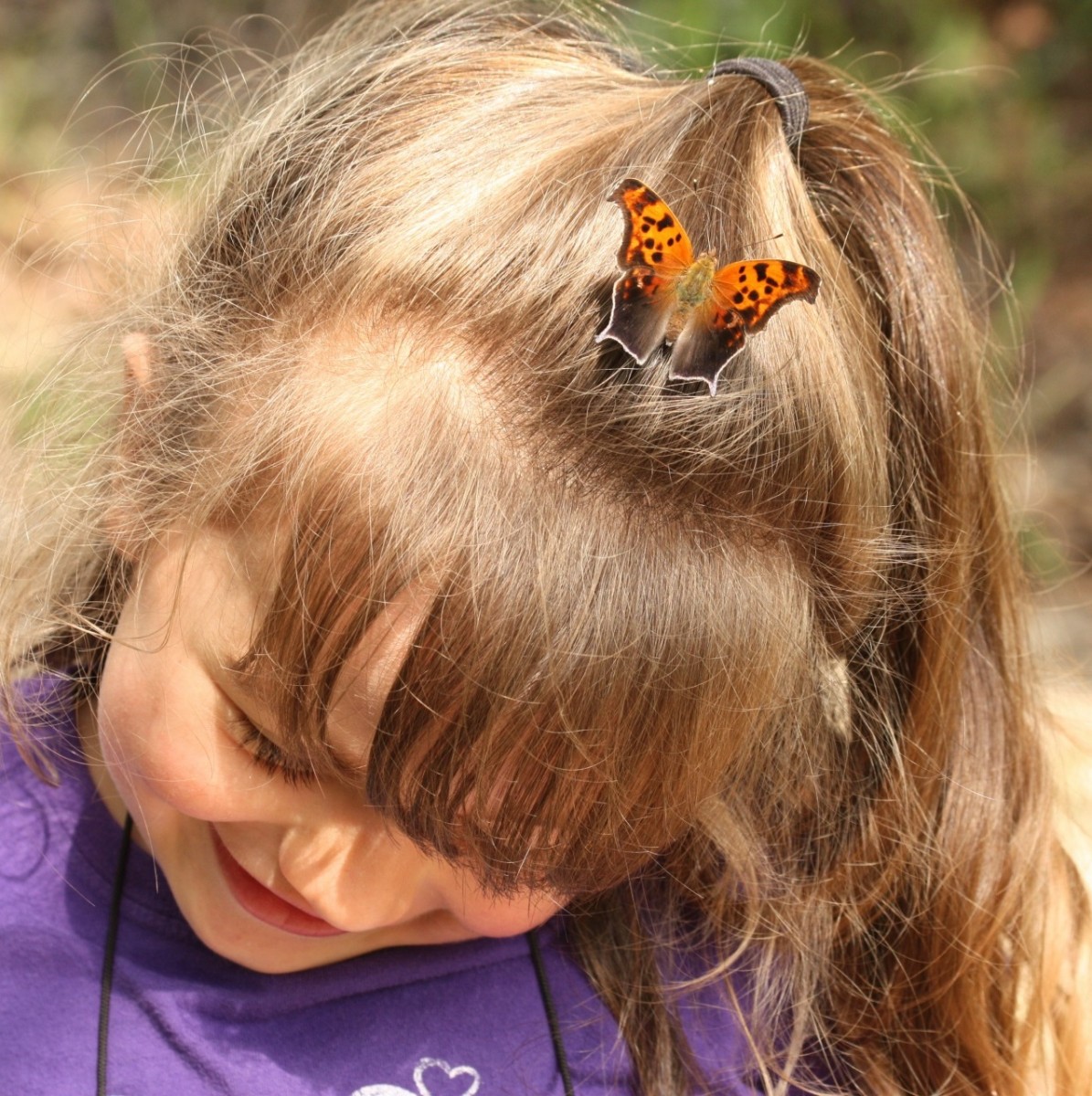 Young girl public domain 2018 butterfly-on-childs-head cropped