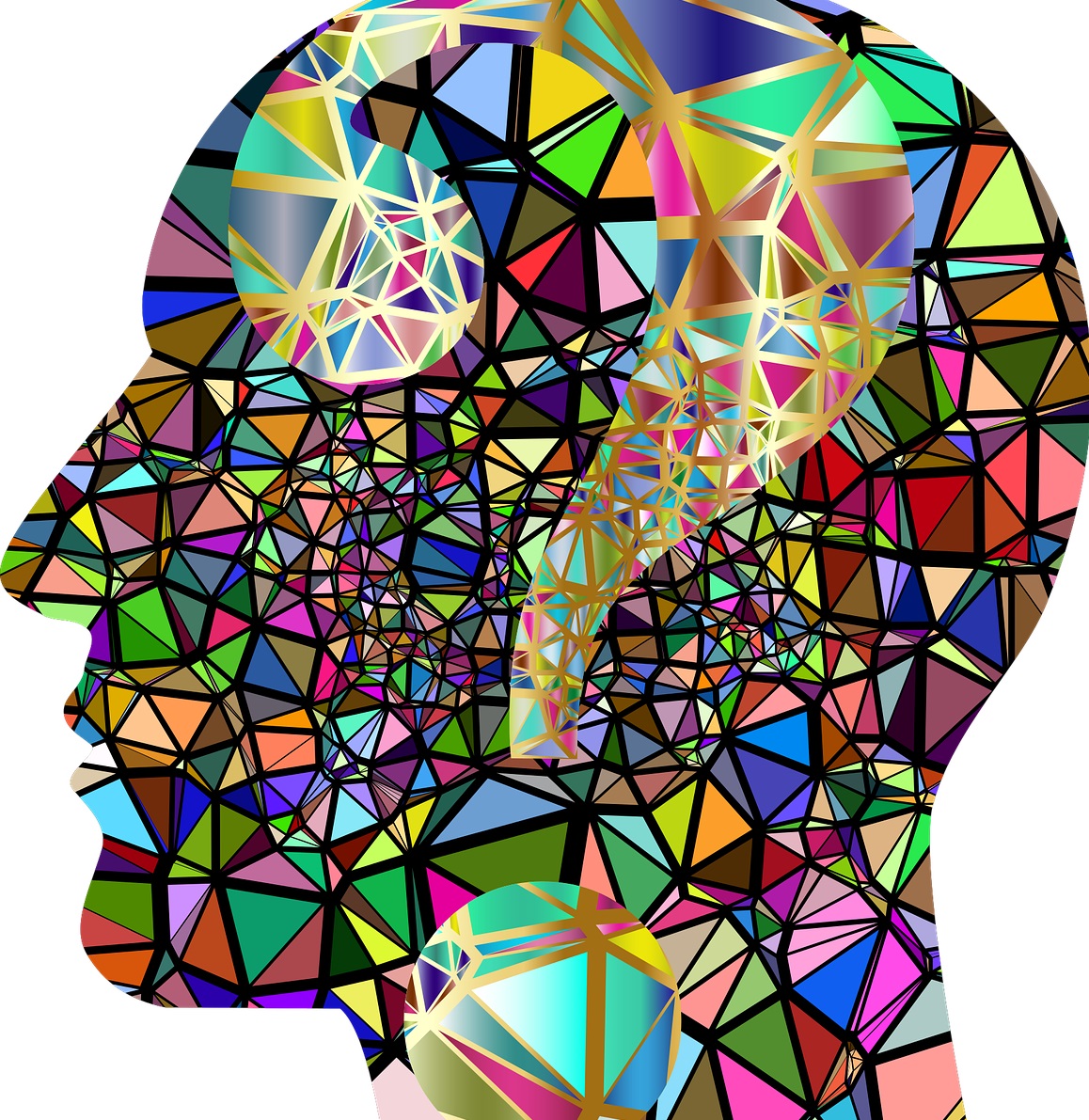 brain head perplexed question 2022 pixabay head-g420bcb980_1280