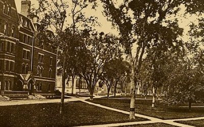 The United States in 1800 (book review)