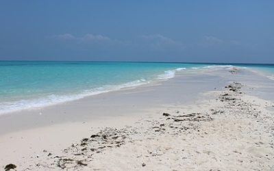 “…lurching strides in softer sand…”…”Fleet beach,” my poem