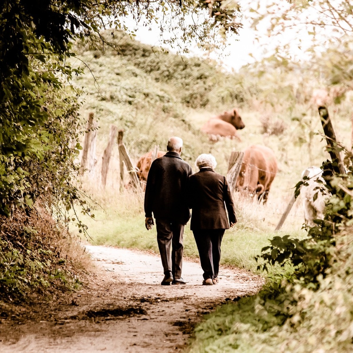 Lovers old man woman 2018 pixabay pair-2914879_1920 cropped