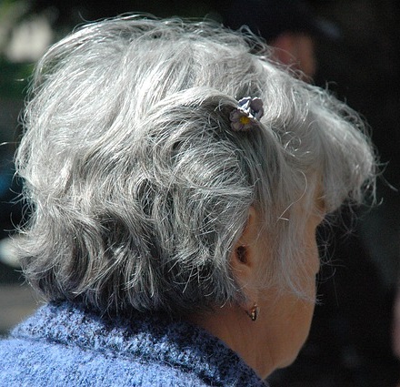 gray grey hair lady 2023 pixabay cropped