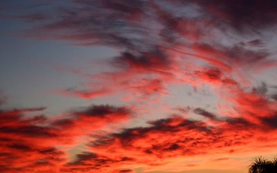 “…a cookie dawn…“Licking the bowl,” my poem