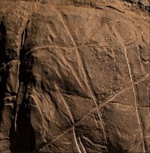 Homo naledi art line 2024 wikimedia Rising_Star_Cave__Cave_of_Bones__Panel_A_Elephants,_South_Africa