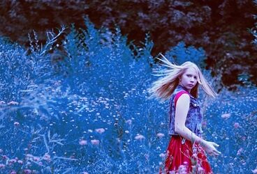 The art of Lynn Ungar