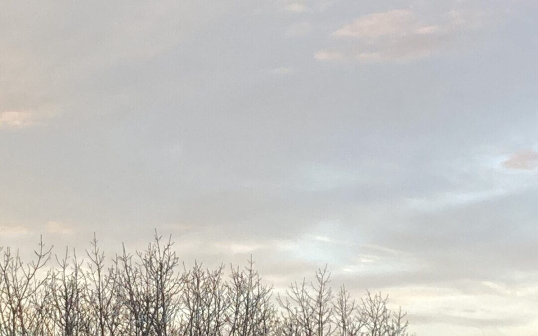 Dawn syrup river 2025 mine LP cropped