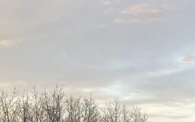 The Book of Days…part lii