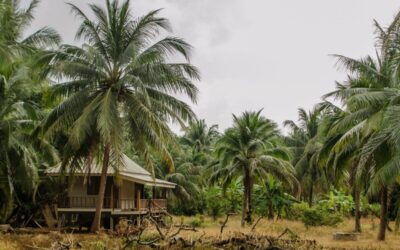 Victory…Joseph Conrad is good…book review