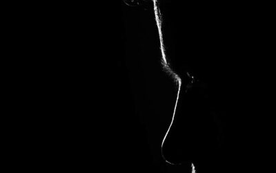 “time would ease me…”…Sarah Orne Jewett