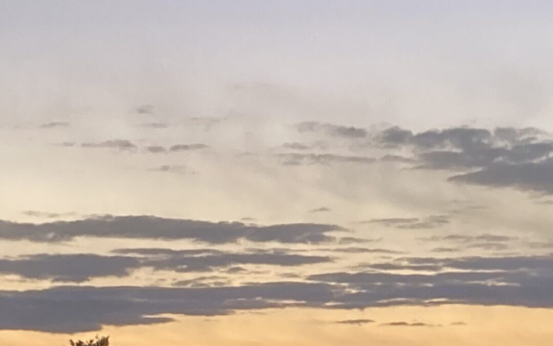 “icing on the evening.”…“gâteau,” my poem