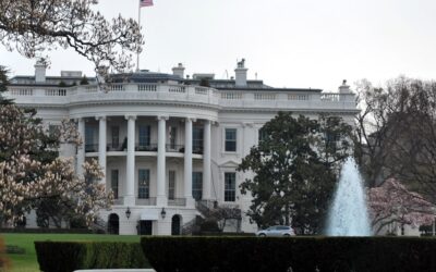 What Orwell Didn’t Know…book review