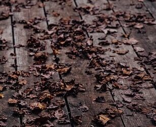 I did not think of ending…my poem