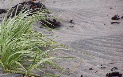 time is different near the sea