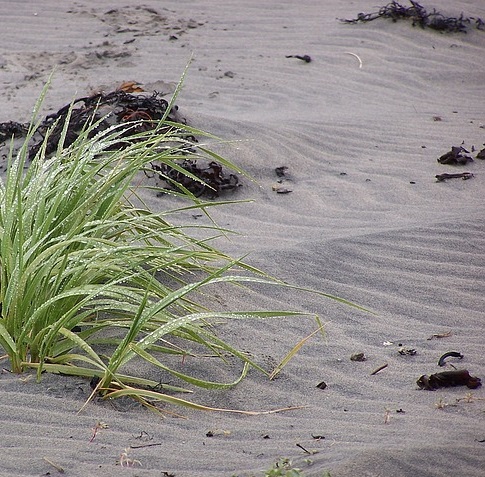 time is different near the sea