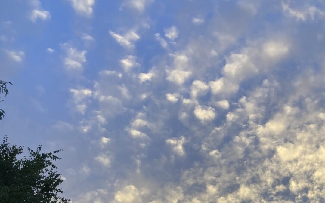 The Book of Days…part lv