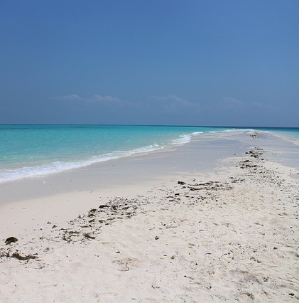 “…some part is ocean?…”…“my sand,” my poem