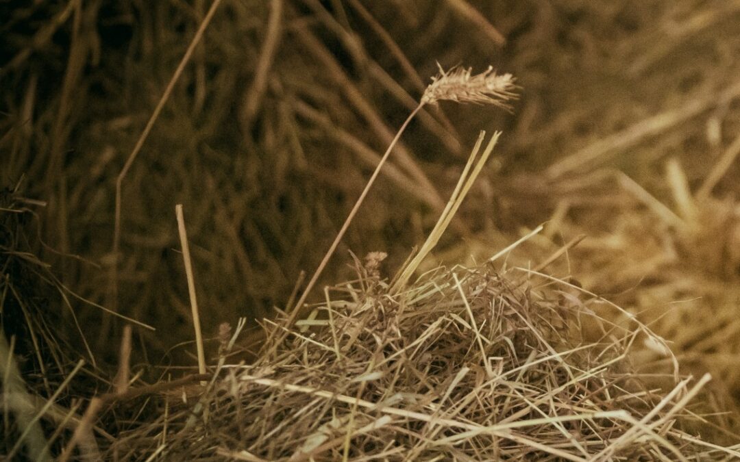 “Darkness begs for light…”…“View,” my poem