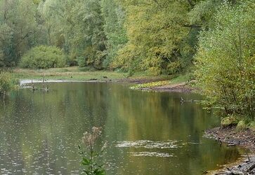 Upstream: Selected Essays (book review)