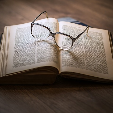 Books011 pixabay 2017 cropped