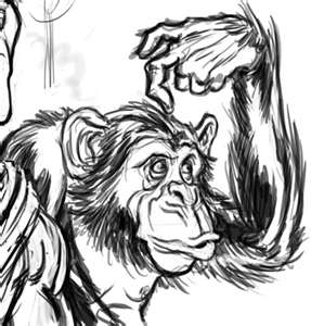 Kaa’s Hunting, The Jungle Book…book review