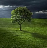 “Contemplation”…my poem