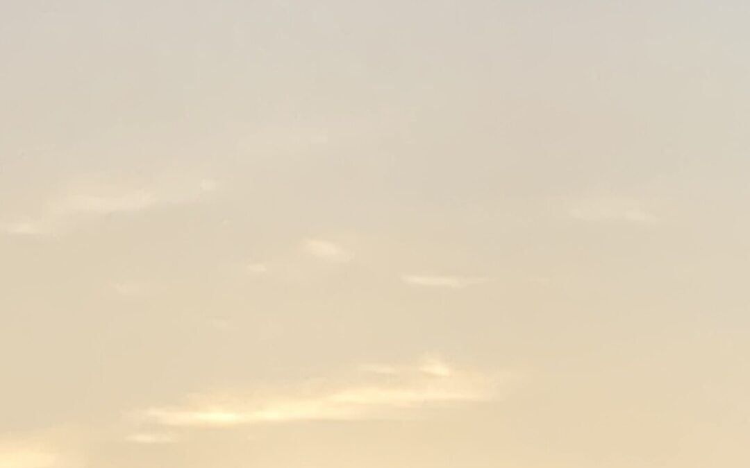 The Book of Days…part lviii