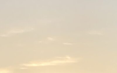 The Book of Days…part lviii