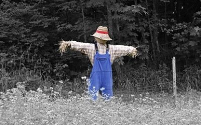 The Wizard of Oz…you can watch it again