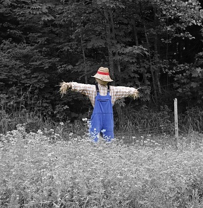Scarecrow 2023 pixabay scarecrow-670720_640