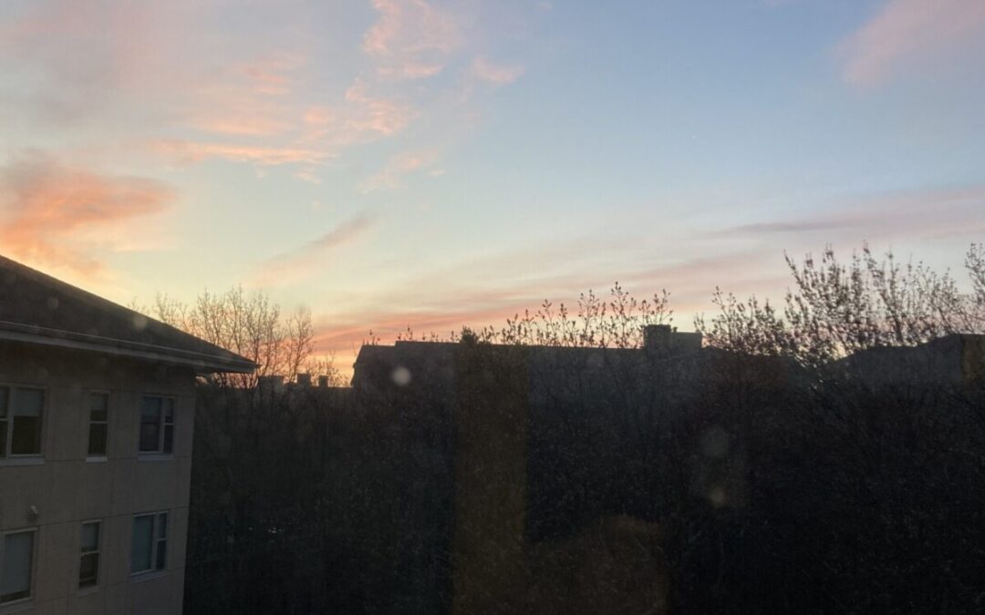 The Book of Days…part lix