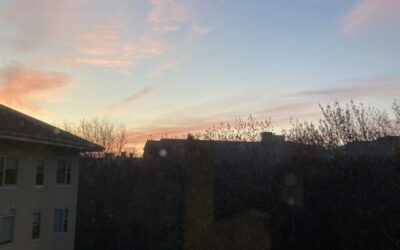 The Book of Days…part lix