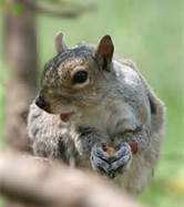 “think about it”…my poem