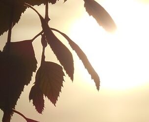 “The seasons are quite real”…“Seasoning,” my poem