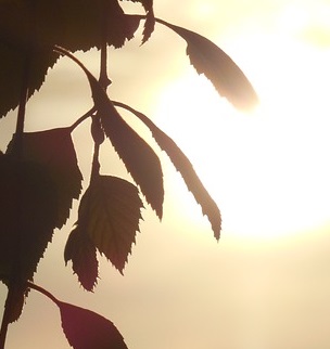 “The seasons are quite real”…“Seasoning,” my poem