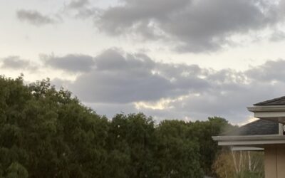 The Book of Days…part lxi