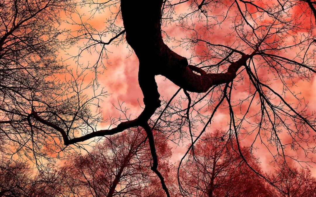 “seeing more”…  it’s the fall, my poem