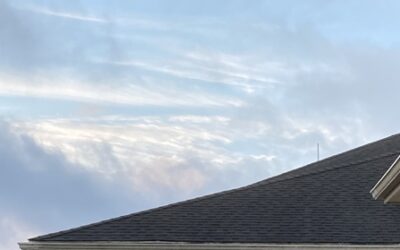 “making night into day…”…“riverine,” my poem