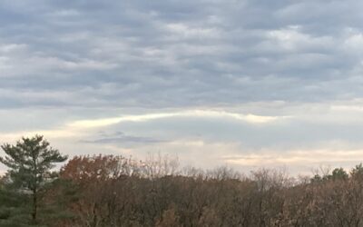 The Book of Days…part lxii