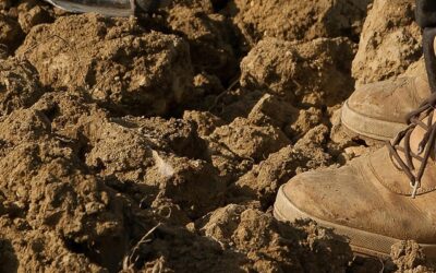 “A Time to Talk,” my version of the poem