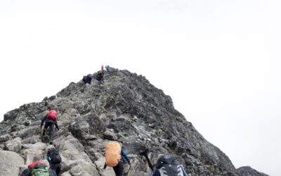 “Questions,” regarding Martin Luther King