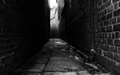 Almost Complete Poems…(book review)