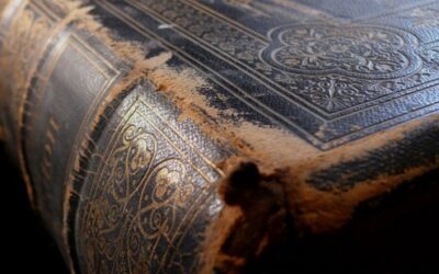 old books, souvenirs of thought…my poem