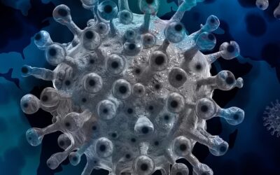 The Premonition: A Pandemic Story…book review