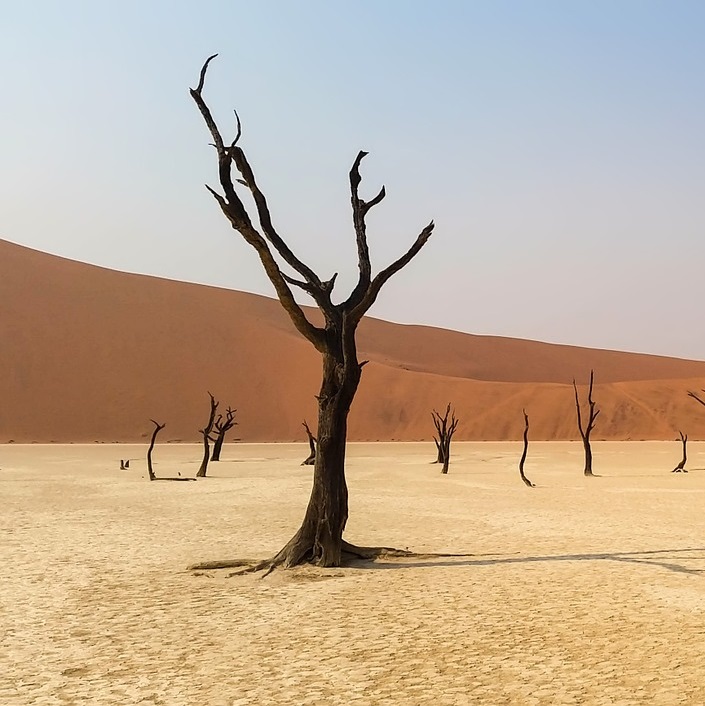 Dusty desert Williams 2019 pixabay africa-1170031_1920 cropped